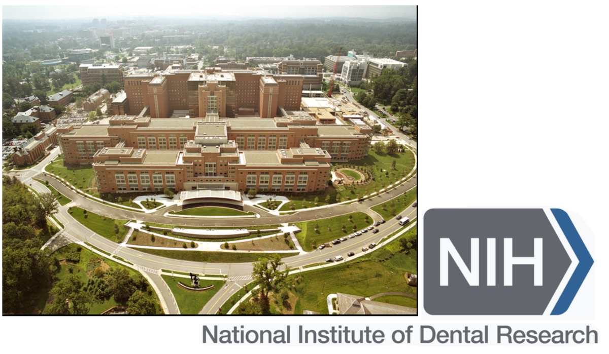 The National Institute of Dental Research